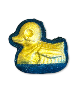Skeleton Duck